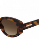 GAFAS DE SOL MOL105/S