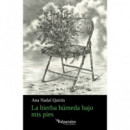 LA HIERBA HUMEDA BAJO MIS PIES