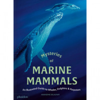 Mysteries Of Marine Mammals   2025