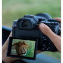 SONY RX10 V