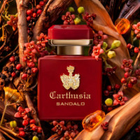Intenso Di Sandalo  CARTHUSIA