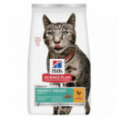 Hills Sp Gato Adulto Perfect Weight 2.5 Kg  HILL'S