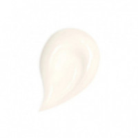 Abeille Royale Honey Treatment Day Cream  GUERLAIN