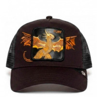 Gorra Wings Fury  GOORIN BROS