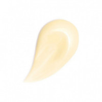 Abeille Royale Honey Treatment Night Cream  GUERLAIN