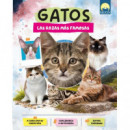 GATOS RAZAS MAS FAMOSAS