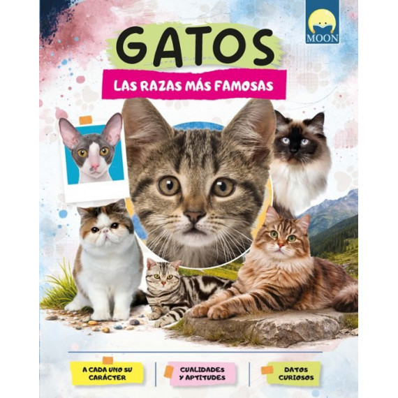 GATOS RAZAS MAS FAMOSAS