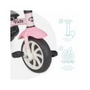 Triciclo Evolutivo 5EN1 Volta Rosa  MS