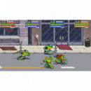 PC - DVD Teenage Mutant Ninja Turtles: Shredder's Revenge