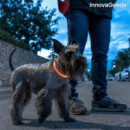 Collar INNOVAGOODS Mascotas Led Naranja 0.5W (90830)