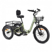 Bicicleta Eléctrica YOUIN Dover Triciclo 250W (BK6000)