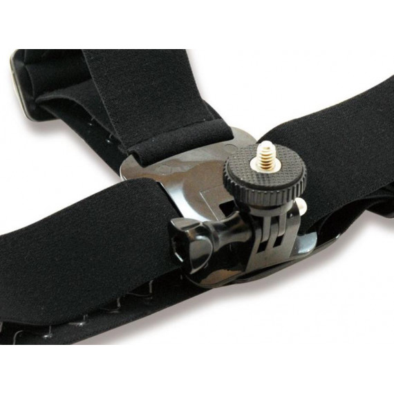 Soporte Cabeza Actioncam CONCEPTRONIC (cactioncamhm)