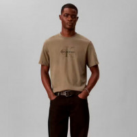 Camiseta Distressd Logo  CALVIN KLEIN