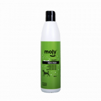 MOLY Champú Menta Fresh 500ML