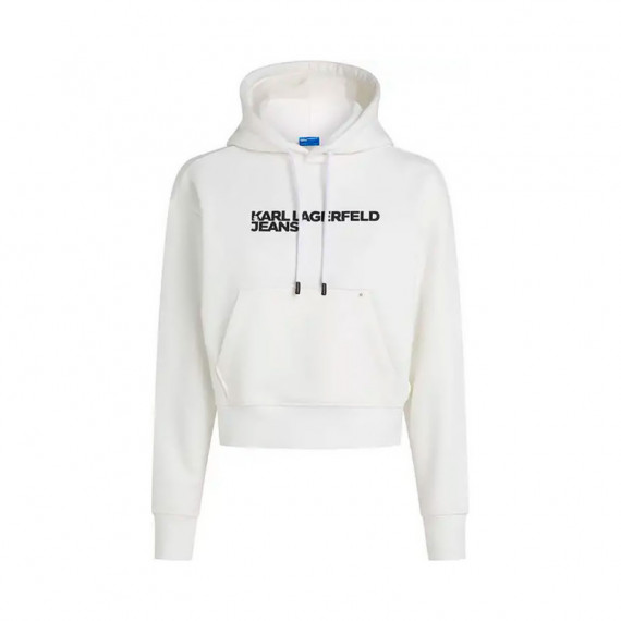 SUDADERA REGULAR LOGO HD