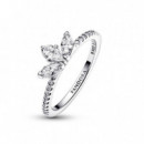 PANDORA Spamtimeless/spamanillo Herbario Brillante 192392C01