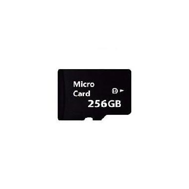 Memoria Microsd 256 Gb. Clase 10 Especial Grabaciones Video