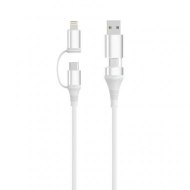 Cable Universal de Carga Rapida EWENT EC1075