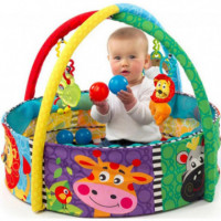 Nido de Juegos con Gimnasio y Bolas  PLAYGRO - Guanxe Atlantic Marketplace