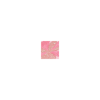SISLEY Palette L'orchidée Rose