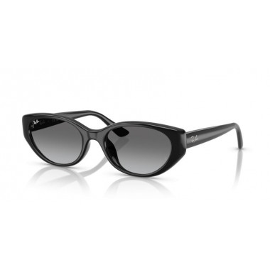 Gafas de Sol RAY-BAN RB4457D 667711 55 19