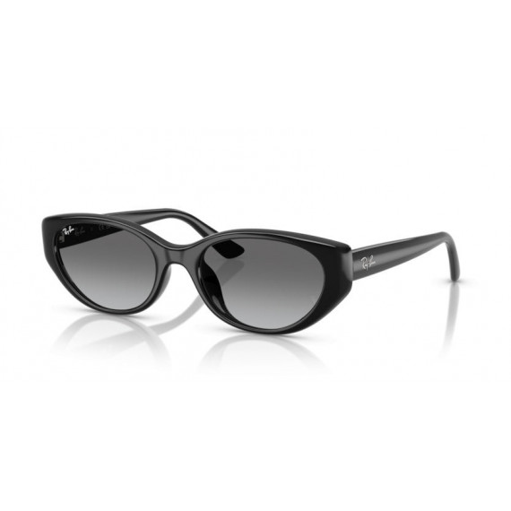 Gafas de Sol RAY-BAN RB4457D 667711 55 19