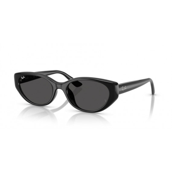 Gafas de Sol Ray-Ban RB4457D 667787 55 19