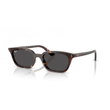 Gafas de Sol Ray-Ban RB4456 135987 53 19