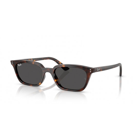 Gafas de Sol Ray-Ban RB4456 135987 53 19