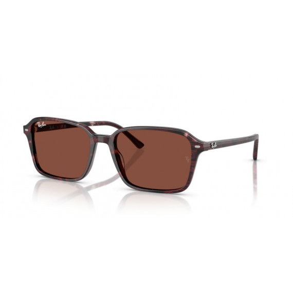 Gafas de Sol Ray-Ban Raimond RB2231 1416C5 56 18