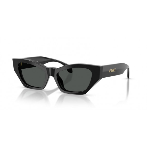 Gafas de Sol VERSACE VE4488U GB1/87 53 17