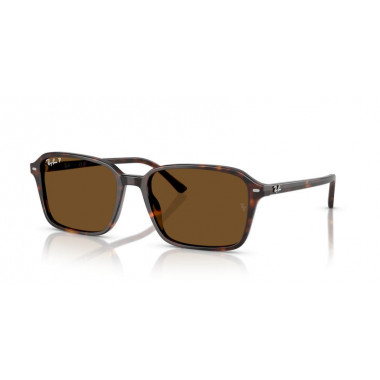Gafas de Sol Ray-Ban Raimond RB2231 902/57 56 18