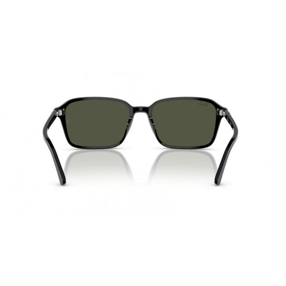 Gafas de Sol Ray-Ban Raimond RB2231 901/31 58 18