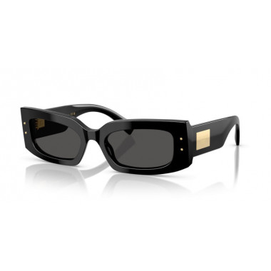 Gafas de Sol Dolce Gabbana DG4479 501/87 55 20