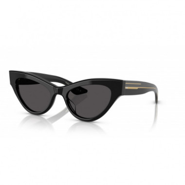 Gafas de Sol Oliver Peoples 1951C OV5573SU 149287 54 19