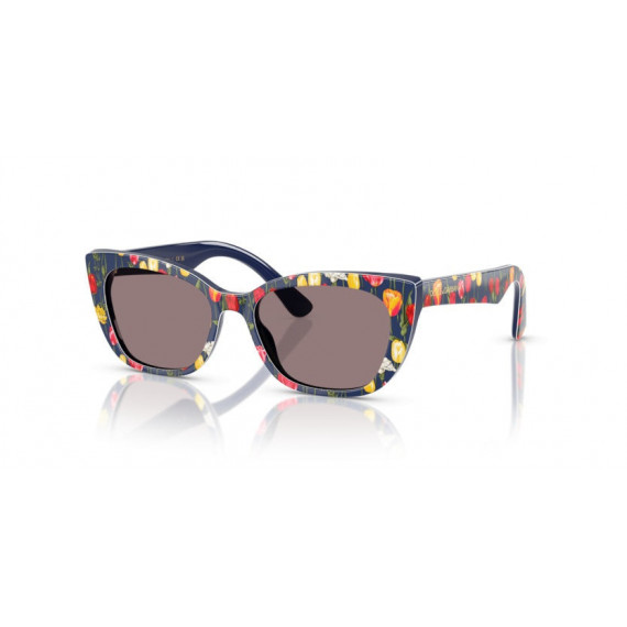 Gafas de Sol Dolce Gabbana DG4427 34357N 49 15