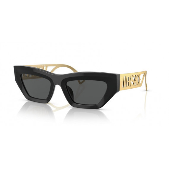Gafas de Sol Versace VE4432U GB1/87 53 20