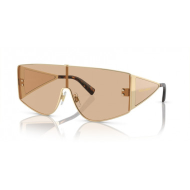 Gafas de Sol Dolce Gabbana DG2305 13655A 44 144