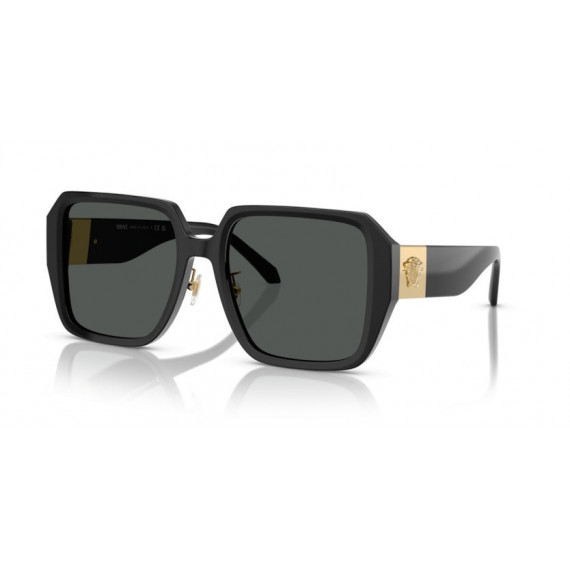 Gafas de Sol VERSACE VE4472D GB1/87 56 19