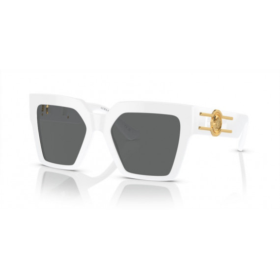 Gafas de Sol VERSACE VE4458 314/87 54 19