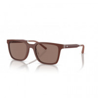 Gafas de Sol Oliver Peoples Mr.Federer OV5553SU 700253 52 20