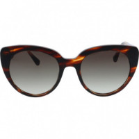 Gafas de Sol ZEN Istana C02 55 21 - Guanxe Atlantic Marketplace
