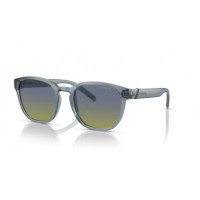 Gafas de Sol ARNETTE Barranco AN4319 28572W 53 20