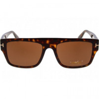 Gafas de Sol TOM FORD Dunning 2 FT907 52E 55 19