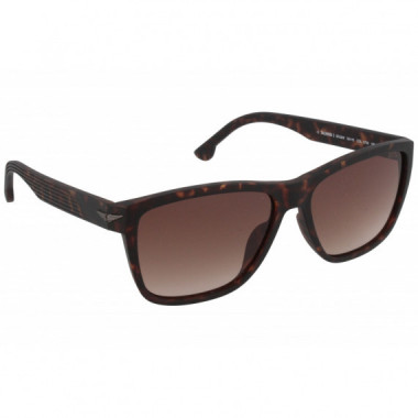 Gafas de Sol Police  Tailwind 3 SPL38 0738 56 15