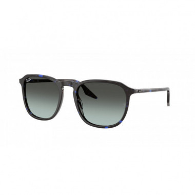 Gafas de Sol Ray-Ban RB2203 1430GK 55 20