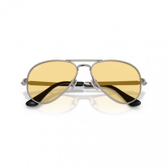 Gafas de Sol Ray-Ban RB3925 004/R6 58 16