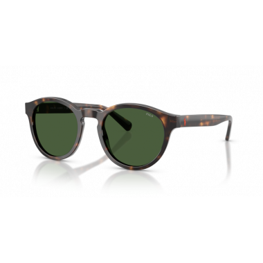 Gafas de Sol Polo Ralph Lauren PH4192 500371 51 21
