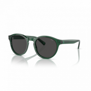Gafas de Sol Polo Ralph Lauren PH4192 608487 51 21