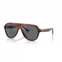 Gafas de Sol Oliver Peoples Paul Newman OV5581SU 1721W5 57 16